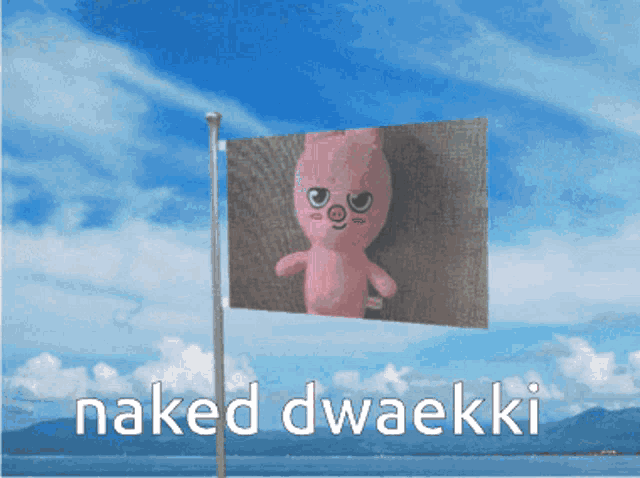 a flag with a picture of a pig on it and the words naked dwaekki