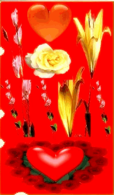 a red heart is surrounded by flowers and butterflies on a red background