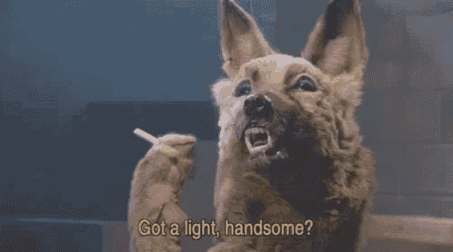 a dog is smoking a cigarette and asking if he has a light .