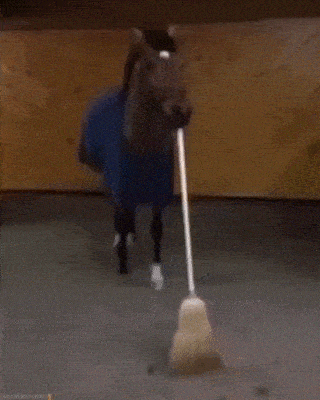 a horse with a blue blanket is holding a broom in its mouth