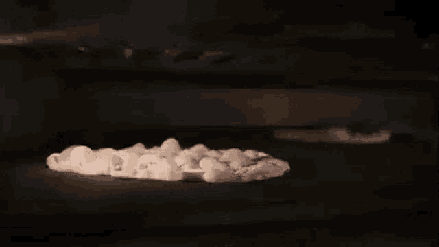 a marshmallow is being cooked in an oven .