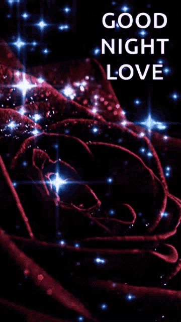 a picture of a red rose with the words good night love