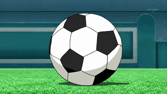 a black and white soccer ball is on a field with a tv screen behind it