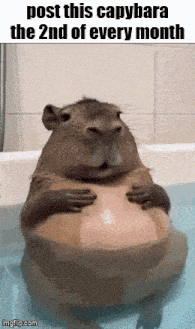 a capybara is taking a bath in a bathtub and holding a ball .