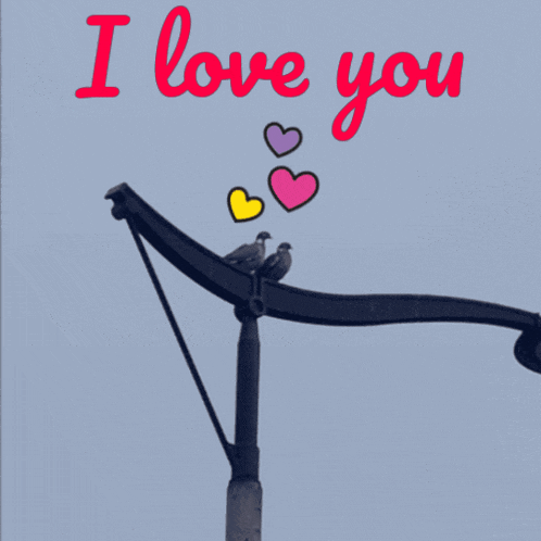 two birds perched on a pole with the words " i love you " written above them