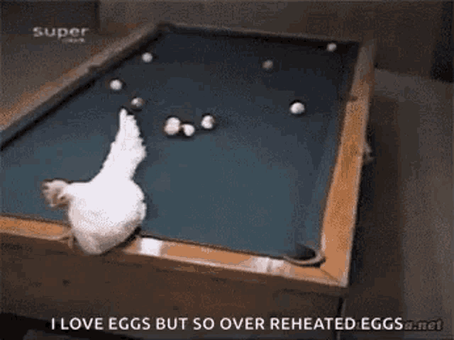 Hen Eggs GIF - Hen Eggs Laying Eggs GIFs