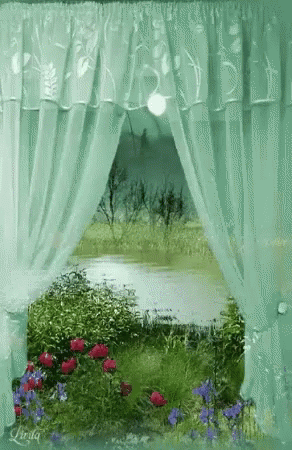 Curtain Flowers GIF - Curtain Flowers Lake GIFs