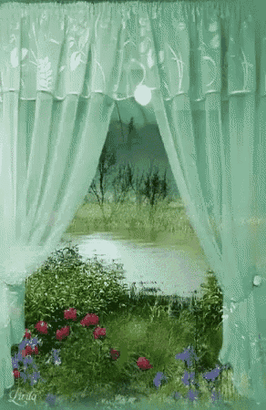 a view of a river through a window with flowers in the foreground