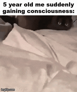 a black cat is laying on a bed with a caption that says `` 5 year old me suddenly gaining consciousness ''