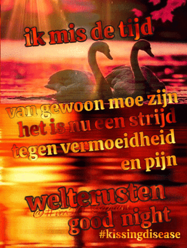 a picture of two swans with the words ik mis de tijd written above them
