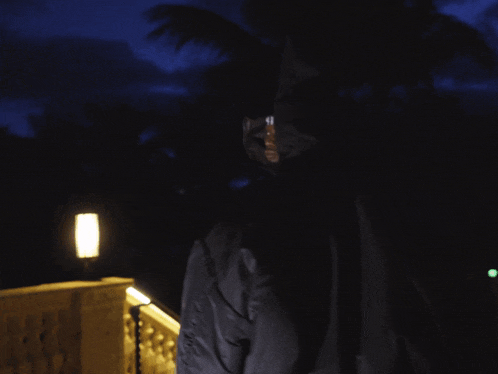 a person wearing a fur coat with a hood and a chain around their neck has the word hood on their head