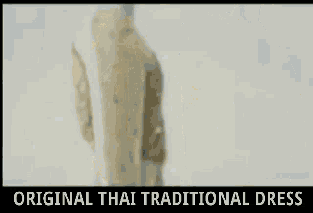 สยาม ประเทศไทย GIF - สยาม ประเทศไทย ศิวไล GIFs