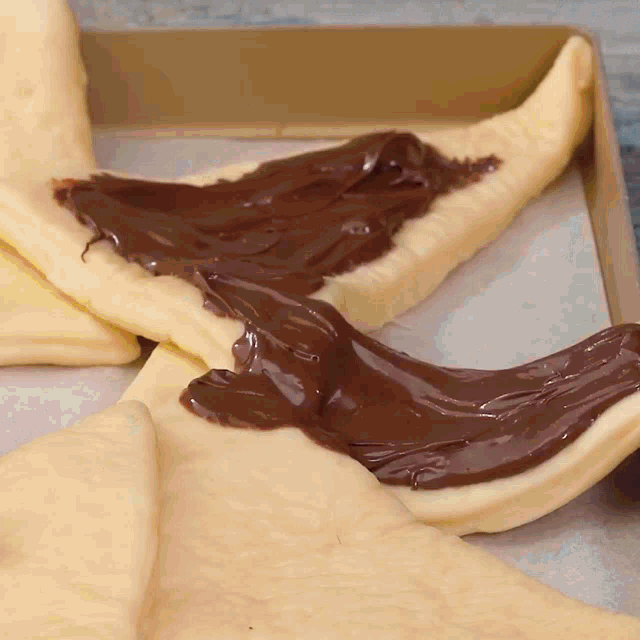 a piece of bread is covered in chocolate sauce