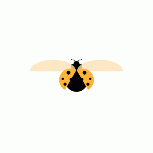 Getdebug Ladybug GIF - Getdebug Ladybug Bug GIFs