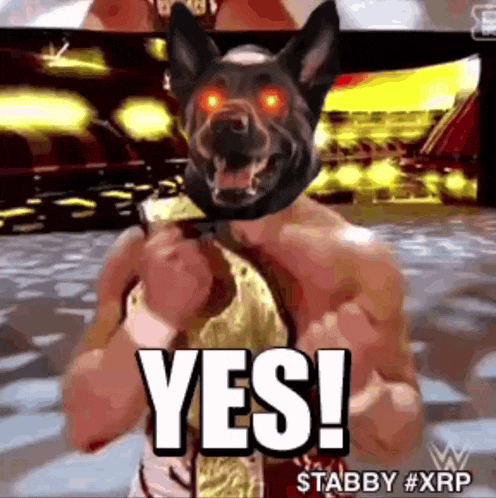 a man with a dog on his head is holding a championship belt and says yes !