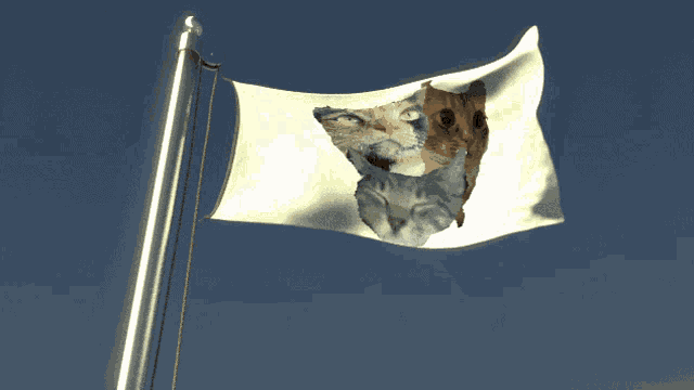 a white flag with a picture of a cat and a dog on it