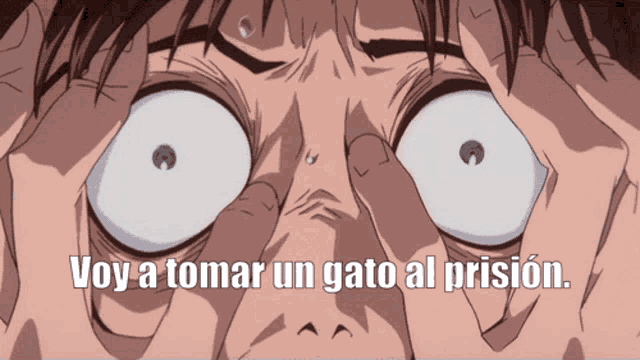a close up of a person 's face with the words voy a tomar un gato al prision written below it