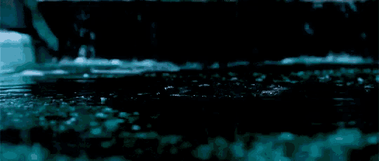 a frog is swimming in a pond at night .