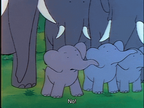 a group of elephants standing next to each other with one saying " no "