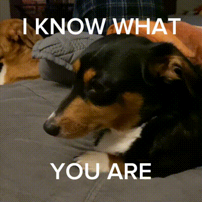 a dog laying on a bed with the words " i know what you are " below it