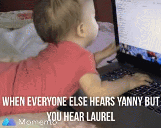 Yanny Laurel Meme GIF - Yanny Laurel Meme When Everyone Else Hears Yanny But You Hear Laurel GIFs