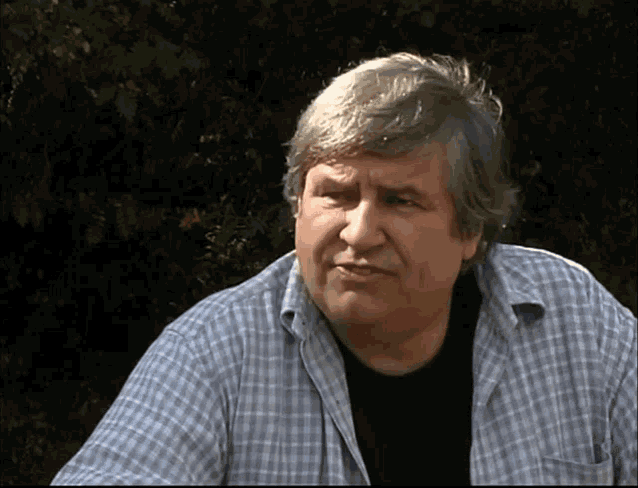 a man with gray hair and a plaid shirt looks at the camera