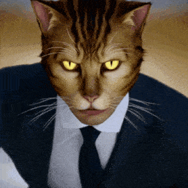 a cat is wearing a suit and tie