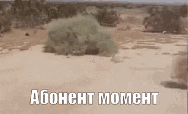a picture of a desert with the words " aboheht moment "