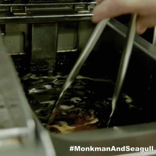 Monkman And Seagull Monkman GIF