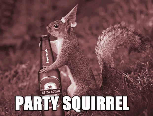 a squirrel wearing a party hat is holding a bottle of st da squad