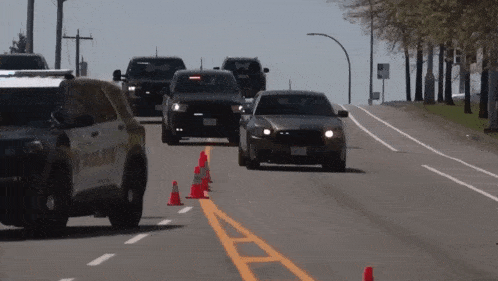Abbotsford Police Abby Pd GIF - Abbotsford Police Abby Pd Police GIFs