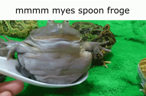 Mmmm Myes Spoon Froggy GIF - Mmmm Myes Spoon Froggy Frog GIFs