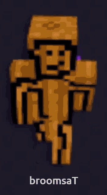 a picture of a minecraft character with the name broomsat