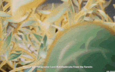 a green plant with the words were it not for greater lord rukkhadevata from the forests