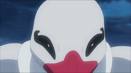 a close up of a white duck with a red beak