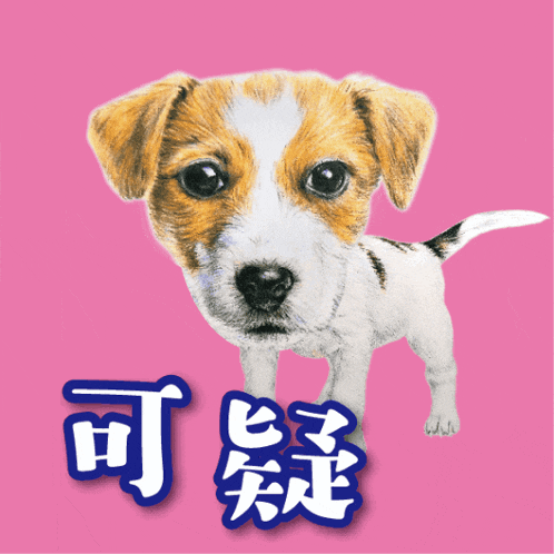 a drawing of a brown and white dog with chinese characters above it