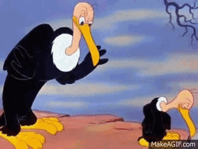 two vultures are standing next to each other on top of a hill .