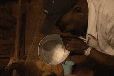 a man wearing a watch is drinking from a bowl of liquid