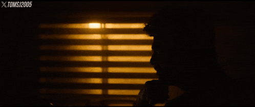 a silhouette of a man in front of a window with xtoms 2005 written on the bottom