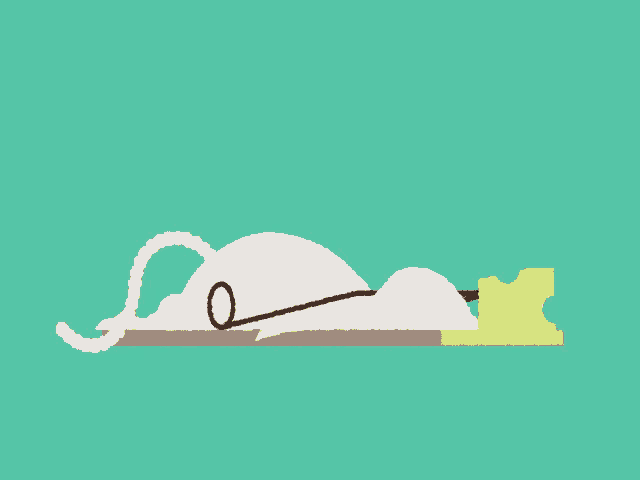 a mouse is laying on a table with a piece of cheese