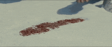 a person is standing in the snow with a bloody footprint in the snow .