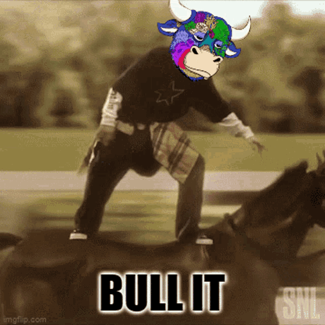 a cartoon of a man riding a horse with the words " bull it " below him