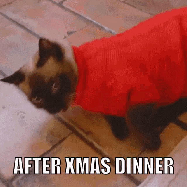 After Xmas GIF - After Xmas Dinner GIFs