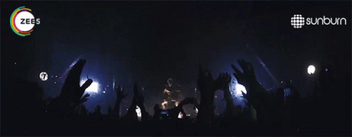Party People Party Animal GIF - Party People Party Animal Music On GIFs