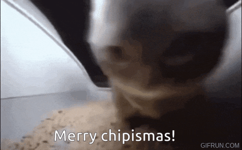 a close up of a cat 's face with the words merry chipismas written on the bottom