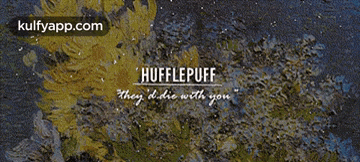 Hufflepuffthey Didie With Iyon.Gif GIF
