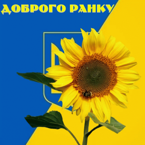 Ukraine Ninisjgufi GIF - Ukraine Ninisjgufi GIFs