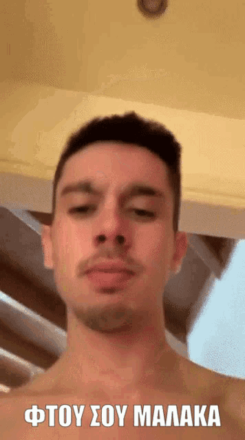 Neko Mango Kone GIF