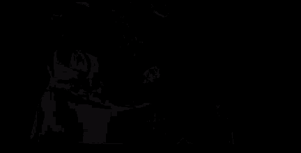 Krokmou Dragons3 GIF