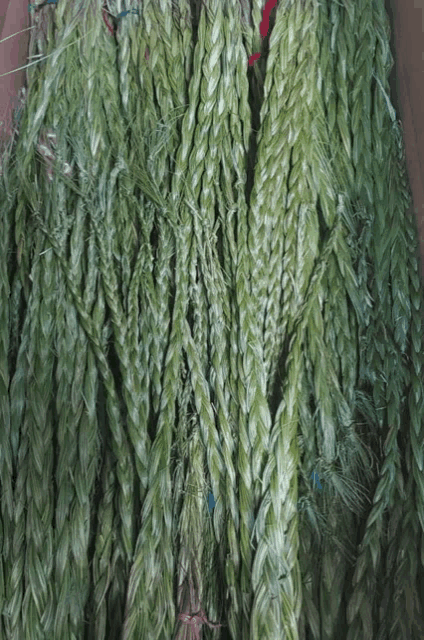 a bunch of braided green plants are tied together